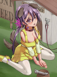 Rule 34 | 1girl, afterimage, akebono (kancolle), alternate breast size, animal ears, bell, blush, bowl, breasts, cleavage, dog ears, dog tail, doghouse, flower, hair bell, hair between eyes, hair flower, hair ornament, high heels, jewelry, jingle bell, kantai collection, long hair, long sleeves, medium breasts, official alternate costume, open mouth, pantyhose, pet bowl, pink flower, purple eyes, purple hair, ring, side ponytail, sitting, solo, tail, wariza, wedding band, white pantyhose, yellow flower, yuki to hana