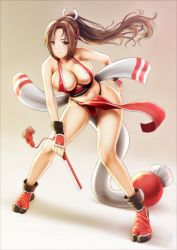 Rule 34 | 1girl, breasts, fatal fury, large breasts, ponytail, revealing clothes, shiranui mai, solo