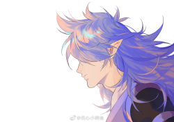 Rule 34 | 1boy, bean mr12, fengxi (the legend of luoxiaohei), hair over eyes, long hair, pointy ears, portrait, profile, purple hair, simple background, solo, luo xiaohei zhanji, weibo watermark, white background