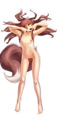 Rule 34 | 1girl, animal ears, apple, breasts, brown hair, drawfag, food, fruit, highres, holo, long hair, midriff, nipples, nude, open mouth, red eyes, small breasts, spice and wolf, tail, wolf ears, wolf girl, wolf tail