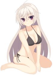 Rule 34 | 1girl, absurdres, ahoge, akizuki kanna, bare arms, barefoot, between legs, bikini, black bikini, blush, breasts, cafe stella to shinigami no chou, cleavage, closed mouth, collarbone, commentary, crossed bangs, curvy, eyelashes, eyes visible through hair, hair between eyes, halterneck, hand between legs, head tilt, highres, kaon zz, large breasts, long hair, looking at viewer, purple eyes, side-tie bikini bottom, simple background, sitting, smile, solo, swimsuit, v arms, very long hair, wariza, white background, white hair