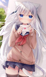 Rule 34 | 1girl, animal ears, black thighhighs, blue eyes, blue sailor collar, blue skirt, blush, brown cardigan, cardigan, cat ears, cat girl, cat tail, closed mouth, commentary, day, envelope, floating hair, hair ornament, hairclip, hands up, heart, highres, holding, holding envelope, letter, long hair, long sleeves, looking at viewer, love letter, neckerchief, original, outdoors, pleated skirt, red neckerchief, ringouulu, sailor collar, school uniform, serafuku, skirt, sleeves past wrists, solo, tail, thighhighs, twitter username, very long hair, watermark, white hair