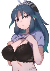 Rule 34 | 1girl, aqua hair, black bra, black hair, blue shirt, bra, breasts, clothes lift, commentary, flashing, frown, gradient hair, green hair, grey eyes, highres, kako (kemono friends), kemono friends, kemono friends 3, large breasts, lifting own clothes, long hair, looking at viewer, masuyama ryou, multicolored hair, ribbon, shirt, shirt lift, short sleeves, simple background, solo, underwear, upper body, white background