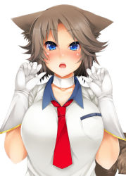 Rule 34 | 1girl, animal ears, blue eyes, blush, breasts, brown hair, choker, collarbone, dog ears, dog tail, gloves, open mouth, original, serizawa mutsuki, short hair, simple background, solo, tail, white background, white gloves
