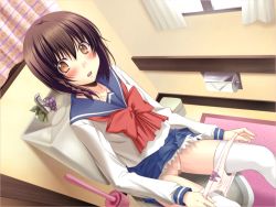 Rule 34 | 1girl, akagi rio, akibara sanami, blouse, blue skirt, blush, bow, bow panties, braid, brown eyes, brown hair, censored, clothes lift, curtains, dutch angle, food, fruit, game cg, grapes, huge bow, indoors, looking at viewer, mosaic censoring, neckerchief, open mouth, ore to imouto no kounai play, panties, panty pull, pussy, red bow, school uniform, shirt, side braid, single braid, sitting, skirt, skirt lift, solo, surprised, thighhighs, toilet, toilet brush, toilet paper, toilet use, underwear, white shirt, white thighhighs, window