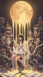 Rule 34 | 1girl, animal, bare legs, bare tree, barefoot, bird, book, book stack, breasts, brown eyes, brown hair, chemise, cloak, commentary request, dirty, dirty feet, full moon, highres, in tree, liquid, long hair, matryoshka doll, medium breasts, melting, minami (minami373916), moon, nail polish, off shoulder, open book, original, owl, pocket watch, pop-up book, robot, sitting, sky, smile, solo, spaghetti strap, star (sky), starry sky, storybook, stuffed animal, stuffed toy, surreal, teddy bear, too many, toy, tree, watch, yellow nails