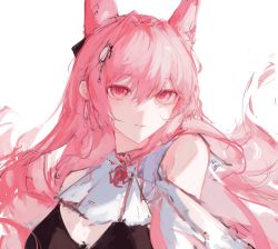 Rule 34 | 1girl, animal ears, arknights, ascot, bare shoulders, black bra, bra, extra ears, hair between eyes, hair intakes, hair ornament, lch, long hair, looking at viewer, pink eyes, pink hair, pozyomka (arknights), resolution mismatch, simple background, solo, source larger, underwear, white ascot, white background, wolf ears, wolf girl