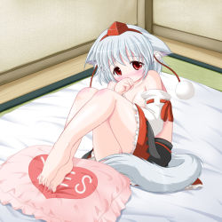 Rule 34 | 1girl, animal ears, barefoot, blush, covering own mouth, detached sleeves, female focus, hat, indoors, inubashiri momiji, looking at viewer, pillow, red eyes, riku (rikkuru), short hair, silver hair, solo, tail, tokin hat, touhou, wolf ears, wolf tail, yes, yes-no pillow