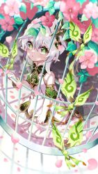 Rule 34 | 1girl, birdcage, blush, cage, child, flower, genshin impact, green eyes, green hair, highres, long hair, looking at viewer, multicolored hair, nahida (genshin impact), parted lips, pink flower, pointy ears, pomepome1207, side ponytail, solo, symbol-shaped pupils, white hair