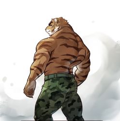 Rule 34 | 1boy, absurdres, ass, bara, belt, camouflage, camouflage pants, from behind, furry, furry male, green belt, highres, jewelry, looking at viewer, male focus, mature male, muscular, muscular male, necklace, original, pants, selkiro, solo, thick thighs, thighs, tiger, tiger boy, topless male