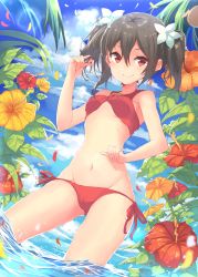 Rule 34 | 10s, 1girl, bikini, black hair, breasts, cowboy shot, flower, halterneck, hibiscus, highres, kame^^, looking at viewer, love live!, love live! school idol project, partially submerged, petals, red bikini, red eyes, side-tie bikini bottom, small breasts, smile, solo, swimsuit, twintails, wading, water, yazawa nico