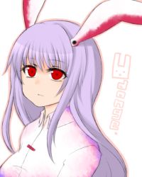 Rule 34 | 1girl, animal ears, female focus, long hair, purple hair, rabbit ears, red eyes, reisen udongein inaba, shiohachi, simple background, solo, touhou, upper body, white background