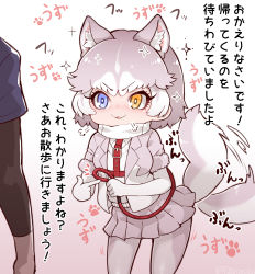 Rule 34 | 1girl, :3, puff of air, afterimage, animal ears, blue eyes, blush, commentary request, cowboy shot, disembodied hand, dog (mixed breed) (kemono friends), dog ears, dog girl, dog tail, elbow gloves, fur trim, gloves, grey fur, grey hair, grey jacket, grey pantyhose, grey skirt, harness, heterochromia, highres, jacket, kemono friends, leash, multicolored hair, one-piece swimsuit, pantyhose, paw print, pleated skirt, scarf, short hair, short sleeves, skirt, solo focus, sparkle, sweater, swimsuit, tail, tail wagging, tanaka kusao, translation request, two-tone hair, white gloves, white hair, white one-piece swimsuit, white scarf, white sweater, yellow eyes