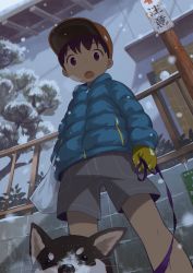 Rule 34 | 1boy, :o, animal, bag, baseball cap, blue jacket, breath, brown hair, child, commentary request, dog, down jacket, from below, gloves, hat, holding, holding bag, jacket, leash, long sleeves, male focus, noeyebrow (mauve), open mouth, original, outdoors, shiba inu, shorts, snow, snowing, winter