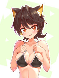 Rule 34 | 1girl, :p, adjusting clothes, adjusting swimsuit, animal ears, bikini, black bikini, black hair, breasts, cat ears, cat girl, closed mouth, commentary, cougar (cougar1404), kua (cougar1404), large breasts, looking at viewer, multicolored hair, orange eyes, orange hair, original, short hair, smile, solo, swimsuit, symbol-only commentary, tongue, tongue out, upper body