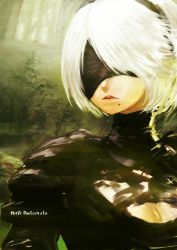 Rule 34 | 1girl, black blindfold, blindfold, breasts, cleavage, cleavage cutout, clothing cutout, forest, hairband, highres, lipstick, log, makeup, mole, mole under mouth, nature, nemoto yuuma, nier (series), nier:automata, outdoors, plant, red lips, short hair, solo, tree, turtleneck, white hair, 2b (nier:automata)