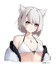 Rule 34 | 1girl, animal ears, bare shoulders, blush, breasts, cat ears, cat girl, chest jewel, collarbone, commentary, cropped torso, grey hair, highres, jacket, mio (xenoblade), open clothes, open jacket, open mouth, short hair, simple background, solo, syl 2v, upper body, white background, white jacket, xenoblade chronicles (series), xenoblade chronicles 3, yellow eyes
