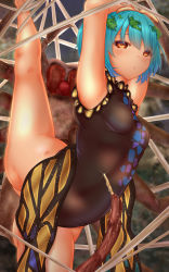 Rule 34 | 1girl, antennae, arms up, bare legs, barefoot, bdsm, black leotard, blue hair, bondage, bound, breasts, brown eyes, bug, butterfly wings, closed mouth, commentary request, eternity larva, feet out of frame, gluteal fold, hair ornament, highres, insect wings, leaf, leaf hair ornament, leaf on head, leotard, shounen (hogehoge), silk, small breasts, spider, spider web, split, standing, standing on one leg, standing split, sweat, touhou, wings