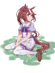 Rule 34 | 1girl, animal ears, blue eyes, bow, brown footwear, brown hair, commentary, ear bow, flower, grass, hair spread out, high ponytail, highres, horse ears, horse girl, horse tail, loafers, long hair, looking away, mouyubao, multicolored hair, own hands together, purple shirt, sailor collar, shirt, shoes, short sleeves, sitting, skirt, smile, solo, split mouth, streaked hair, swept bangs, tail, thighhighs, tokai teio (umamusume), two-tone hair, umamusume, very long hair, wariza, white background, white hair, white sailor collar, white skirt, white thighhighs, zettai ryouiki