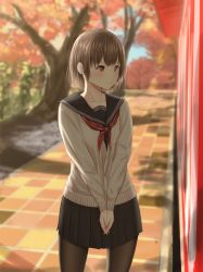 Rule 34 | 1girl, autumn, bad id, bad pixiv id, blurry, brown eyes, brown hair, collarbone, cowboy shot, day, depth of field, highres, long sleeves, looking to the side, minagiku, original, outdoors, own hands clasped, own hands together, pantyhose, pavement, pleated skirt, school uniform, serafuku, short hair, skirt, solo, standing, tree, v arms
