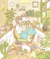 Rule 34 | 1girl, absurdres, animal, ankle socks, aqua skirt, book, bookshelf, braid, brown cat, brown hair, cat, chair, clock, closed mouth, cup, flower pot, frilled shirt collar, frills, full body, green eyes, grey cat, highres, holding, holding book, indoors, knees up, long hair, long skirt, long sleeves, looking at object, making-of available, messy hair, necono naco, no shoes, on chair, open book, original, picture frame, pillow, plaid, plaid skirt, plant, potted plant, profile, reading, saucer, scenery, shelf, shirt, sitting, skirt, socks, solo, spoon, teacup, toy, white cat, white shirt, window, yellow socks