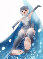 Rule 34 | 1girl, animal ears, barefoot, beleven, brown eyes, elbow gloves, feet, gloves, grey hair, highres, kemono friends, open mouth, short hair, small-clawed otter (kemono friends), soles, tail, toeless legwear, toes, water