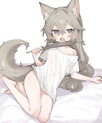 Rule 34 | 1girl, absurdres, animal ear fluff, animal ears, bare legs, barefoot, eating, fang, fenrir (fenriluuu), fish, food, full body, grey eyes, grey hair, highres, holding, holding skewer, long hair, looking at viewer, naked shirt, no pants, off shoulder, original, oversized clothes, oversized shirt, second-party source, shirt, short sleeves, simple background, skewer, skin fang, tail, white background, white shirt, wolf ears, wolf girl, wolf tail