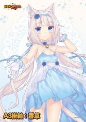 Rule 34 | 1girl, animal ears, bare legs, bell, blue background, blue bow, blue collar, blue dress, blue eyes, blue flower, blue headwear, blue heart, blue ribbon, blue rose, blush, bow, cat ears, cat girl, cat tail, closed mouth, clothes lift, collar, dress, dress lift, flower, frills, gloves, hair bow, hand up, headband, lace, legs, lifting own clothes, light smile, long hair, long ribbon, looking at viewer, neck bell, nekopara, outstretched arm, outstretched hand, ribbon, rose, sayori (neko works), sleeveless, smile, tail, vanilla (nekopara), very long hair, white gloves, white hair, white tail