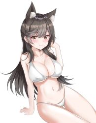 Rule 34 | 1girl, animal ear fluff, animal ears, arm support, atago (azur lane), atago (summer march) (azur lane), azur lane, bare arms, bare shoulders, benedia, bikini, black hair, blush, breasts, brown eyes, cleavage, closed mouth, collarbone, commentary request, extra ears, fox ears, hand up, highres, large breasts, long hair, looking at viewer, navel, sidelocks, simple background, sitting, smile, solo, stomach, swimsuit, thighs, white background, white bikini