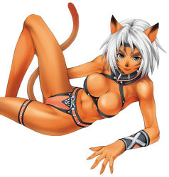 Rule 34 | 00s, 1girl, animal ears, breasts, cat ears, cat girl, cat tail, cleavage, final fantasy, final fantasy xi, koyuki yoshino, md5 mismatch, midriff, mithra (ff11), short hair, simple background, solo, square enix, tail, thigh strap, white background