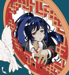 Rule 34 | 1boy, aqua eyes, bird, black jacket, blue eyes, blue hair, closed mouth, collared shirt, dark blue hair, dove, feathers, heterochromia, high ponytail, highres, hong lu (project moon), jacket, limbus company, long hair, long sleeves, nakame77, necktie, outstretched hand, ponytail, project moon, reaching, reaching towards viewer, red necktie, shirt, solo, suit jacket, white bird, dove, white feathers, white shirt