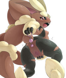 Rule 34 | 1girl, anal, anal beads, anal object insertion, animal ears, anus, between legs, black pantyhose, black sclera, blush, breasts, clitoris, colored sclera, creatures (company), from behind, from below, furry, furry female, game freak, gen 4 pokemon, half-closed eyes, hand between legs, highres, kimubota, looking back, lopunny, nintendo, nipples, object insertion, open mouth, pantyhose, pokemon, pokemon (creature), pokemon dppt, pussy, pussy juice, rabbit ears, rabbit tail, red eyes, sex toy, simple background, small breasts, solo, standing, sweat, tail, tears, teeth, tongue, torn clothes, torn pantyhose, uncensored, urethra, white background