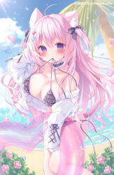 Rule 34 | 1girl, ahoge, animal ear fluff, animal ears, arm behind head, bare legs, bare shoulders, beach, bikini, blue sky, blush, bow, breasts, cameltoe, cat ears, cat tail, choker, commentary request, cowboy shot, day, falling petals, flower, frilled bikini, frilled choker, frilled jacket, frills, hair bow, hair ornament, heart, heart-shaped innertube, heart hair ornament, highres, holding, holding swim ring, horizon, innertube, jacket, large breasts, leaning, leaning forward, lens flare, long hair, long sleeves, looking at viewer, melonbooks, momochi chia, mouth hold, ocean, open clothes, open jacket, original, outdoors, palm tree, petals, pink hair, pink tail, pink theme, purple eyes, sky, solo, standing, swim ring, swimsuit, tail, tree, untied bikini, very long hair, water drop