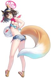 Rule 34 | 1girl, animal ears, ball, bare shoulders, beach, beachball, bikini, bikini under clothes, black hair, blue archive, blue shorts, blush, bottle, brown eyes, fang, fox ears, fox girl, fox shadow puppet, fox tail, from behind, full body, halo, highleg, highleg bikini, highres, holding, holding ball, holding beachball, holding bottle, izuna (blue archive), izuna (swimsuit) (blue archive), leaning forward, looking at viewer, looking back, medium hair, micro shorts, official alternate costume, one eye closed, sandals, scarf, shorts, side ponytail, string bikini, swimsuit, tail, transparent background