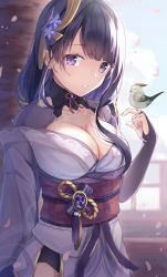 Rule 34 | 1girl, armor, bird, bird on hand, blurry, blurry background, braid, breasts, bridal gauntlets, cherry blossoms, cleavage, cloud, cloudy sky, commentary request, day, falling petals, flower, genshin impact, hair ornament, highres, japanese clothes, kimono, kugatsu tooka, large breasts, long hair, looking at viewer, mole, mole under eye, nail polish, obi, obiage, obijime, open mouth, petals, purple eyes, purple flower, purple hair, purple nails, raiden shogun, ribbon, sash, shoulder armor, sky, solo, tassel