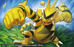 Rule 34 | 2017, black eyes, claws, clenched hands, creature, creatures (company), electabuzz, fangs, full body, game freak, gen 1 pokemon, grass, match (idleslumber), nintendo, no humans, pokemon, pokemon (creature), pokemon tcg, punching, solo, standing, watermark