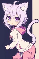 Rule 34 | 1girl, :d, ahoge, animal ears, black outline, blush, cat ears, cat girl, cat tail, commentary request, hair between eyes, hololive, hood, hood down, hoodie, long sleeves, looking at viewer, looking to the side, nekomata okayu, open mouth, outline, pink hair, pink shorts, puffy long sleeves, puffy sleeves, purple eyes, ran (ran ran010), shorts, smile, solo, tail, virtual youtuber, white hoodie