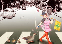 Rule 34 | 10s, 1girl, :d, abbey road, album cover redraw, apron, bird, bird wings, black hair, black shirt, blonde hair, blouse, crosswalk, day, derivative work, duck, duckling, eyes visible through hair, from side, full body, grey hair, hakumaiya, hand up, head wings, highres, holding, kemono friends, kemono friends 2, looking at another, motor vehicle, multicolored hair, open mouth, outdoors, outstretched arm, pantyhose, parody, pink apron, red eyes, red footwear, red pantyhose, road, scarf, shirt, shoes, short hair, short sleeves, sidelocks, skirt, smile, solo, spot-billed duck (kemono friends), the beatles, volkswagen beetle, walking, white skirt, wings