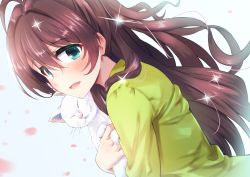 Rule 34 | 0141zucker, 1girl, ahoge, animal, aqua eyes, blush, brown hair, cat, cherry blossoms, commentary request, hair between eyes, hair intakes, holding, holding animal, holding cat, long hair, long sleeves, looking at viewer, open mouth, petals, shirt, solo, sparkle, tamasaka makoto, tokyo 7th sisters, upper body, white cat, yellow shirt
