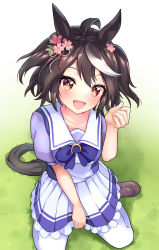 Rule 34 | 1girl, :d, ahoge, animal ears, blush, bright pupils, brown hair, collarbone, commentary request, flower, frilled skirt, frills, gradient background, grass, green background, hair flower, hair ornament, hand up, highres, horse ears, horse girl, horse tail, kitasan black (umamusume), lips, loafers, looking at viewer, multicolored hair, open mouth, pantyhose, pleated skirt, puffy short sleeves, puffy sleeves, ribbon, school uniform, shadow, shoes, short sleeves, skirt, smile, solo, streaked hair, sunny (20597521), tail, umamusume, uniform, white hair, white pantyhose