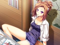 Rule 34 | 1girl, animal ears, blush, breasts, brown hair, chair, cigarette, cleavage, fox ears, fox tail, game cg, highres, indoors, large breasts, looking at viewer, map, nagumo ryouko, otomimi infinity, paper, pen, purple eyes, shirt, short hair, shorts, sitting, smoking, solo, tail
