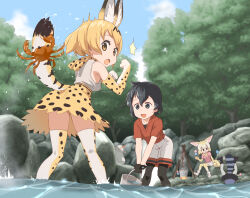 Rule 34 | 4girls, animal, animal ears, animal print, bare shoulders, bent over, black eyes, black hair, black pantyhose, blonde hair, blue sky, bucket, colored inner hair, common raccoon (kemono friends), crab, day, elbow gloves, extra ears, fennec (kemono friends), food, fox ears, fox girl, fox tail, gloves, hair between eyes, holding, holding bucket, kaban (kemono friends), kemono friends, legs apart, looking at another, looking back, medium hair, miniskirt, multicolored hair, multiple girls, no headwear, outdoors, pantyhose, pantyhose under shorts, partially submerged, print gloves, print scarf, print skirt, print thighhighs, raccoon tail, red shirt, river, scarf, serval (kemono friends), serval print, shirt, short-sleeved sweater, short sleeves, shorts, sitting, skirt, sky, sleeveless, sleeveless shirt, splashing, standing, surprised, sweater, t-shirt, tail, tamagoya, thighhighs, upside-down, wading, water, yellow eyes, zettai ryouiki