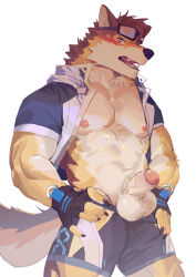 Rule 34 | 1boy, abs, animal ears, bara, bare pectorals, barrel (cool gunfighter) (live a hero), barrel (live a hero), beige fur, blue male swimwear, blush, brown fur, cowboy shot, dog boy, dog ears, dog tail, flaccid, foreskin, furry, furry male, goggles, goggles on head, highres, jacket, large pectorals, live a hero, looking at viewer, male focus, male swimwear, muscular, muscular male, nipples, nose blush, official alternate costume, open clothes, open jacket, orange fur, pectorals, penis, seato-hao, short hair, solo, stomach, swim briefs, tail, thick thighs, thighs, uncensored