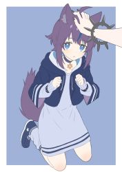 Rule 34 | 1girl, ahoge, animal ear fluff, animal ears, bad id, bad twitter id, black nails, blue background, blue dress, blue eyes, blue footwear, blue nails, border, bracelet, choker, clenched hands, copyright request, cropped jacket, donguri suzume, dot nose, dress, full body, hand on another&#039;s head, headpat, highres, hood, hood down, hooded jacket, jacket, jewelry, kneeling, layered sleeves, long sleeves, looking at viewer, multicolored hair, nail polish, open clothes, open jacket, out of frame, parted lips, purple choker, purple hair, shoes, short over long sleeves, short sleeves, simple background, sneakers, solo, solo focus, streaked hair, tail, white border, wide sleeves