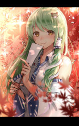 Rule 34 | 1girl, autumn leaves, bad id, bad pixiv id, blurry, blush, brown eyes, closed mouth, depth of field, detached sleeves, frog hair ornament, gohei, green hair, hair ornament, hair tubes, highres, holding, kochiya sanae, leaf, letterboxed, light rays, long hair, long sleeves, looking at viewer, maple leaf, sidelocks, smile, snake hair ornament, solo, sunbeam, sunlight, touhou, tsukiriran, upper body, wide sleeves
