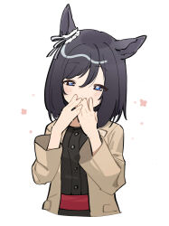 Rule 34 | 1girl, absurdres, animal ears, black dress, black hair, blue eyes, blush, brown jacket, covering own mouth, cropped torso, dress, eishin flash (umamusume), half-closed eyes, hands up, highres, horse ears, jacket, long sleeves, looking at viewer, medium hair, michia (bourgognepony), open clothes, open jacket, sash, solo, umamusume, upper body, white background
