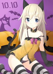 Rule 34 | 1girl, animal ears, babydoll, bad id, bad pixiv id, bare shoulders, black gloves, black panties, blonde hair, blue eyes, blush, breasts, buttons, cat ears, cat tail, cross, dated, detached collar, gloves, halloween, helma lennartz, iron cross, jack-o&#039;-lantern, long hair, looking at viewer, mobu, navel, panties, silhouette demon, sitting, small breasts, solo, strap slip, strike witches, strike witches: suomus misfits squadron, striped clothes, striped thighhighs, tail, thighhighs, underwear, world witches series