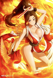 Rule 34 | 1girl, absurdres, breasts, fatal fury, fire, highres, large breasts, parted bangs, pelvic curtain, ponytail, shiranui mai, simple background, solo, thighs