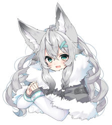 Rule 34 | 1girl, :d, animal ear fluff, animal ears, blush, capelet, commentary request, copyright request, cropped torso, fang, fur-trimmed capelet, fur trim, green eyes, grey capelet, grey hair, hair between eyes, hair ornament, hairclip, highres, long hair, long sleeves, looking at viewer, nachiru, open mouth, own hands together, shirt, simple background, smile, solo, upper body, virtual youtuber, white background, white shirt