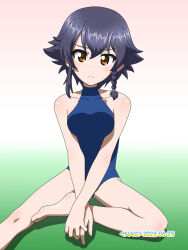 Rule 34 | 1girl, black hair, blue one-piece swimsuit, blush, braid, breasts, brown eyes, closed mouth, girls und panzer, highres, large breasts, looking at viewer, naotosi, one-piece swimsuit, pepperoni (girls und panzer), short hair, solo, swimsuit